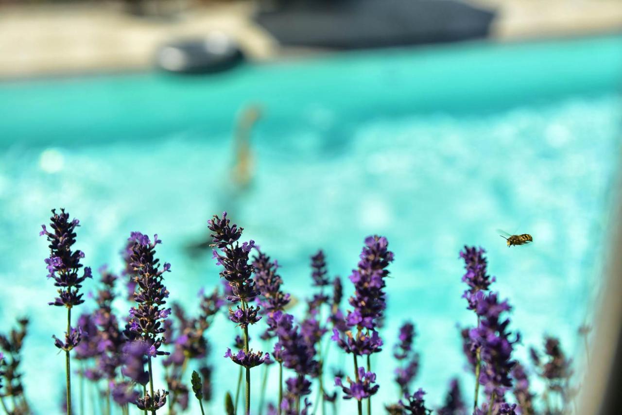 Residence Boutique Sonne Schenna Εξωτερικό φωτογραφία